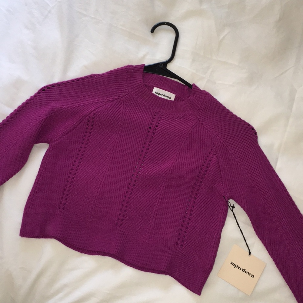 Superdown crop sweater